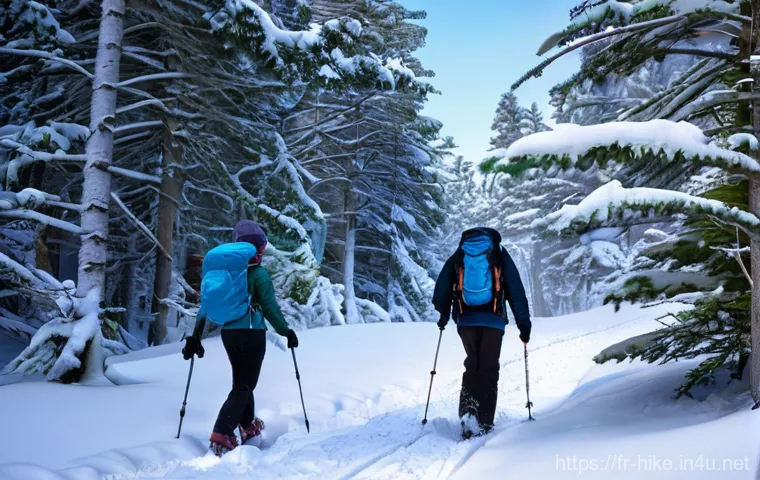 겨울 등산 장비 체크리스트 - **Prompt:** A close-up shot of essential winter hiking gear laid out on a clean, snow-covered surfac...