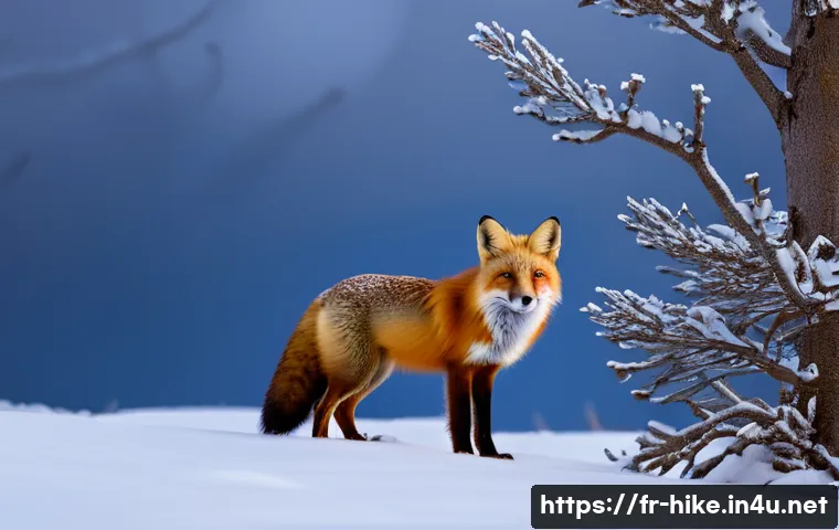 등산 사진 촬영 팁 관련 이미지 2