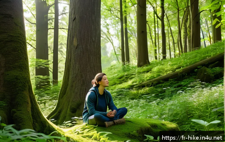 등산 후 자연과 교감하는 방법 - A peaceful forest scene after a hiking session in the French countryside, showing a person sitting c...