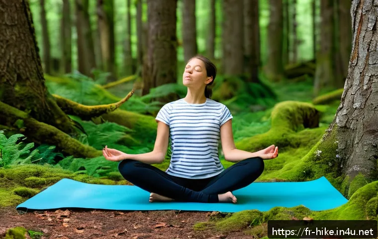 Comment prolonger la magie de la randonnée en s’immergeant pleinement dans la nature après l’effort 3 등산 후 자연과 교감하는 방법 관련 이미지 1